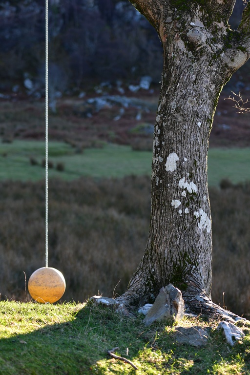 2018-11 Scotland/Glenuig/DSC_7140.JPG